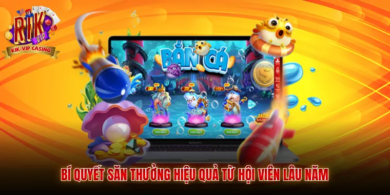 Bắn Cá 3D Rikvip - Trải Nghiệm Giải Trí Và Săn Thưởng 4 Bí quyết săn thưởng hiệu quả từ hội viên lâu năm