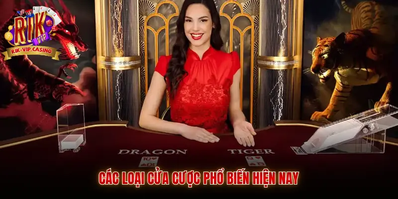 Dragon Tiger Rikvip Trải Nghiệm Giải Trí Hấp Dẫn Tại Rikvip 3 Các loại cửa cược phổ biến hiện nay